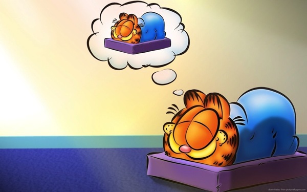 Garfield dreaming of garfield sleeping