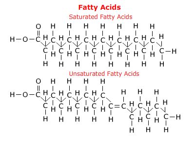 fatty_acids