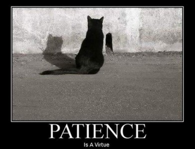 patience-is-a-virtue