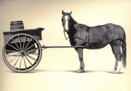 horse cart